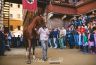 Palio Straordinario: la fotogallery della seconda prova